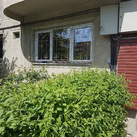 Apartamente Marian Braşov Værelse billede